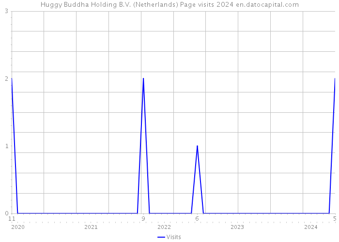 Huggy Buddha Holding B.V. (Netherlands) Page visits 2024 