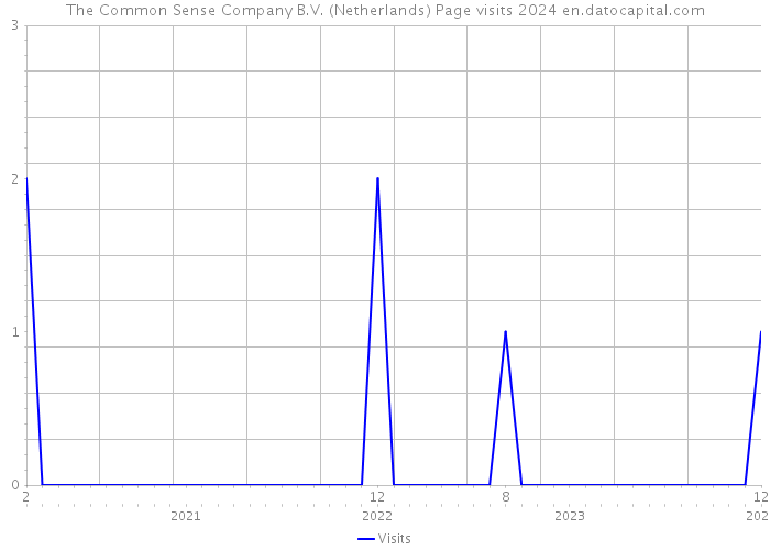 The Common Sense Company B.V. (Netherlands) Page visits 2024 