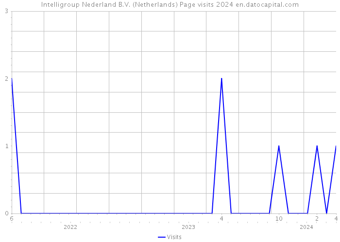 Intelligroup Nederland B.V. (Netherlands) Page visits 2024 