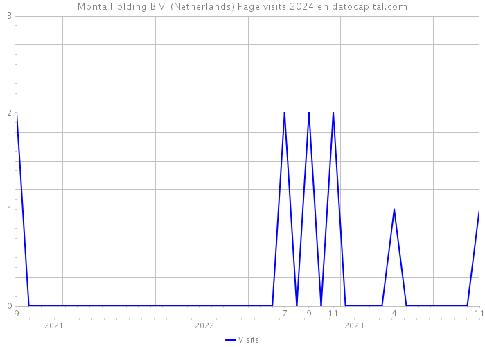 Monta Holding B.V. (Netherlands) Page visits 2024 