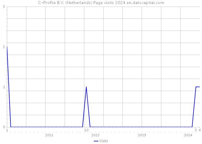 C-Profile B.V. (Netherlands) Page visits 2024 
