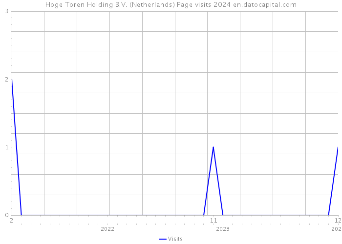 Hoge Toren Holding B.V. (Netherlands) Page visits 2024 