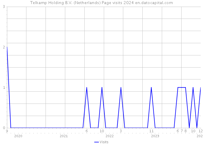Telkamp Holding B.V. (Netherlands) Page visits 2024 