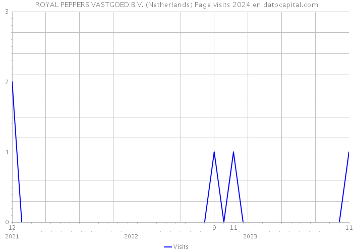 ROYAL PEPPERS VASTGOED B.V. (Netherlands) Page visits 2024 