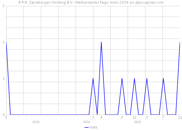 P.P.R. Zandbergen Holding B.V. (Netherlands) Page visits 2024 