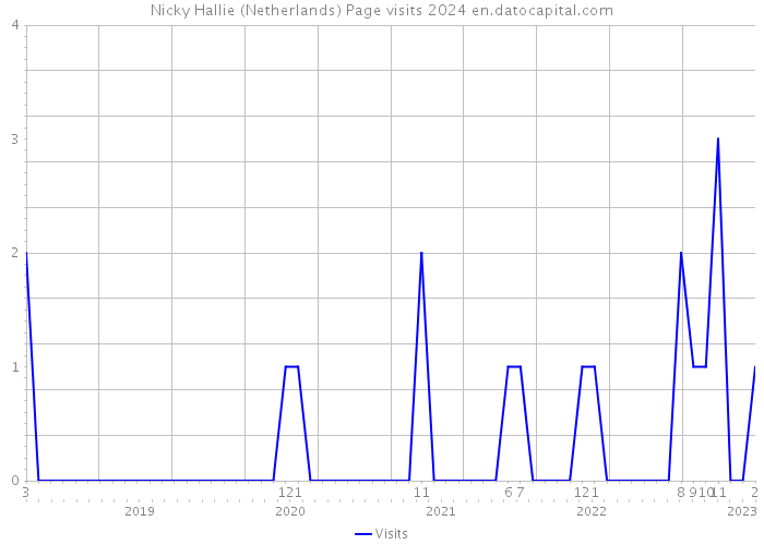 Nicky Hallie (Netherlands) Page visits 2024 