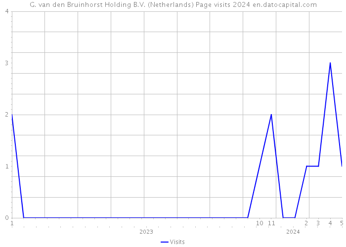 G. van den Bruinhorst Holding B.V. (Netherlands) Page visits 2024 