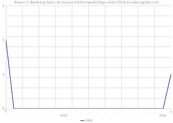 Alvaro Y. Bemberg Sainz de Vicuna (Netherlands) Page visits 2024 