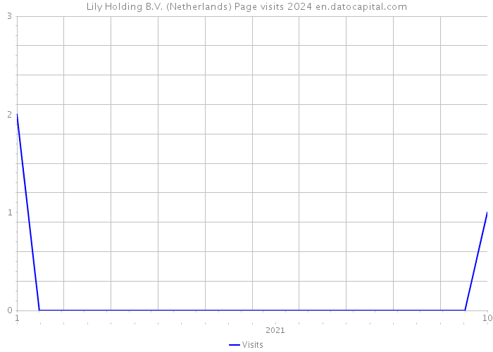 Lily Holding B.V. (Netherlands) Page visits 2024 