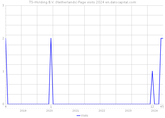 TS-Holding B.V. (Netherlands) Page visits 2024 