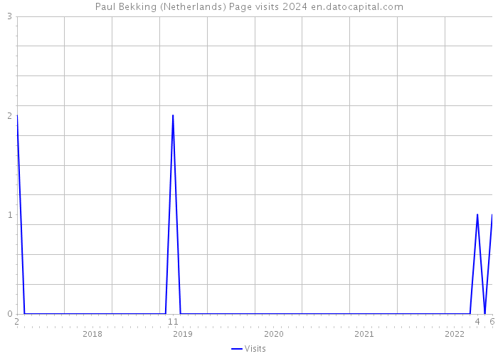 Paul Bekking (Netherlands) Page visits 2024 