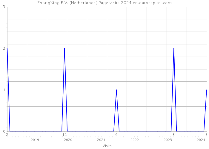 ZhongXing B.V. (Netherlands) Page visits 2024 