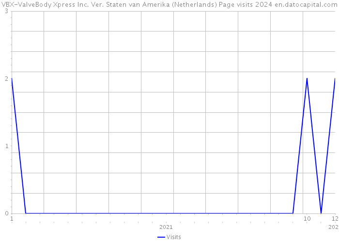 VBX-ValveBody Xpress Inc. Ver. Staten van Amerika (Netherlands) Page visits 2024 