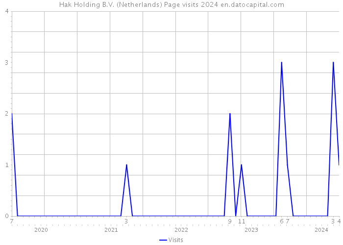 Hak Holding B.V. (Netherlands) Page visits 2024 
