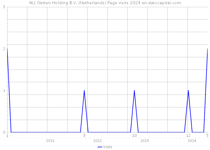 W.J. Netten Holding B.V. (Netherlands) Page visits 2024 