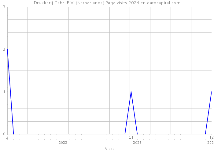 Drukkerij Cabri B.V. (Netherlands) Page visits 2024 