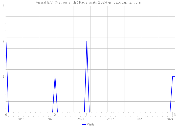 Visual B.V. (Netherlands) Page visits 2024 