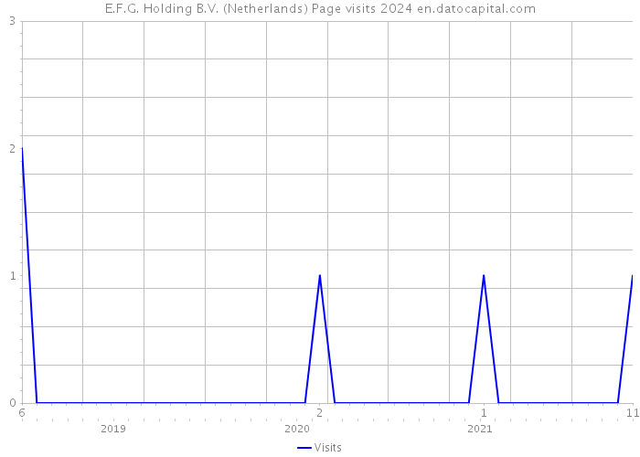 E.F.G. Holding B.V. (Netherlands) Page visits 2024 