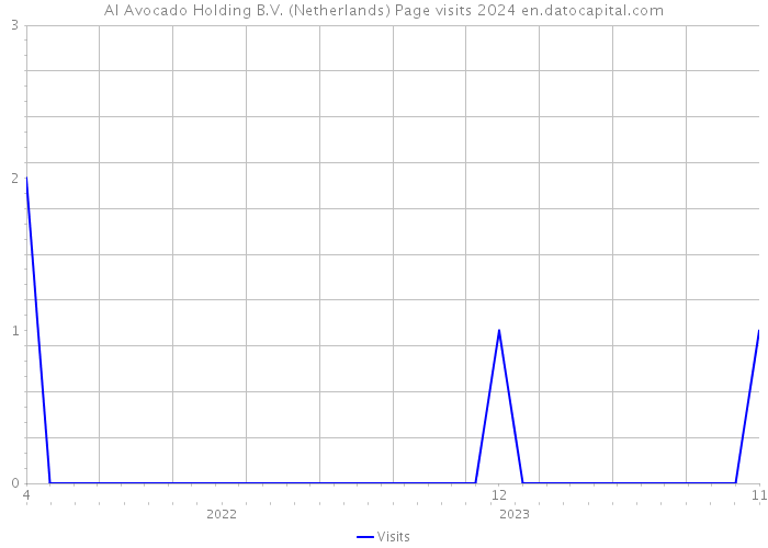 AI Avocado Holding B.V. (Netherlands) Page visits 2024 