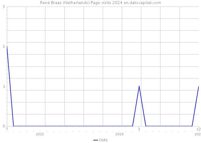 René Braas (Netherlands) Page visits 2024 