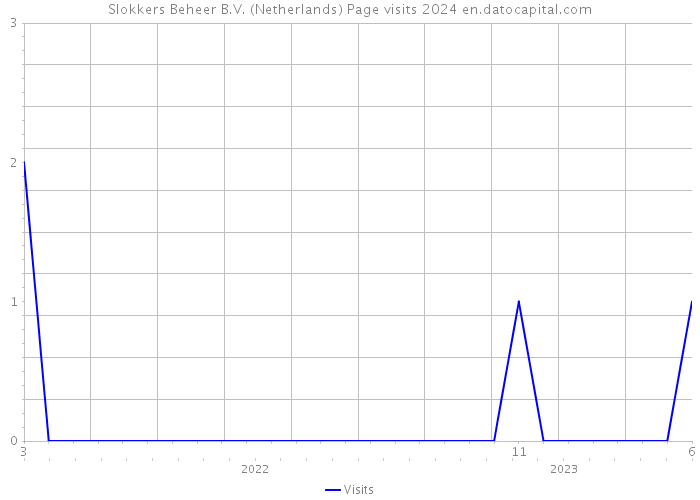 Slokkers Beheer B.V. (Netherlands) Page visits 2024 