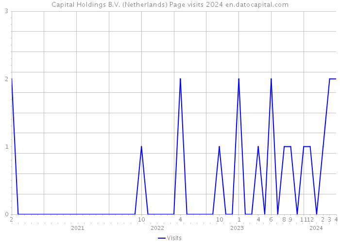 Capital Holdings B.V. (Netherlands) Page visits 2024 