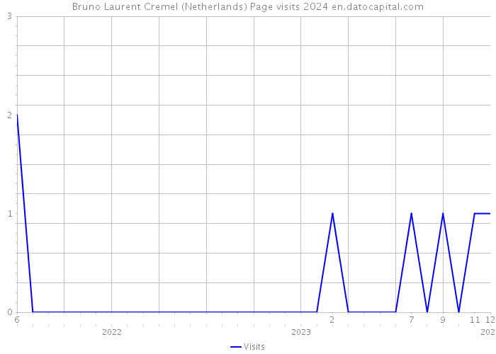 Bruno Laurent Cremel (Netherlands) Page visits 2024 