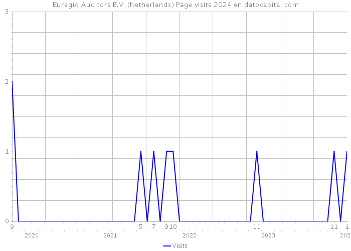 Euregio Auditors B.V. (Netherlands) Page visits 2024 