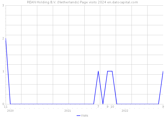 REAN Holding B.V. (Netherlands) Page visits 2024 