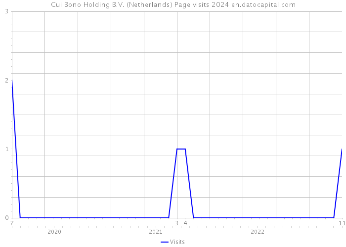 Cui Bono Holding B.V. (Netherlands) Page visits 2024 