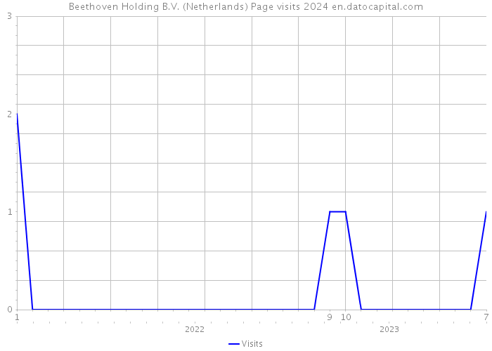 Beethoven Holding B.V. (Netherlands) Page visits 2024 