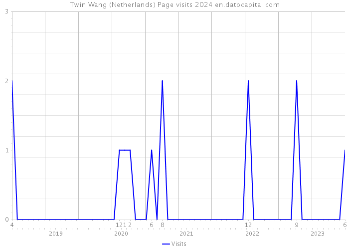 Twin Wang (Netherlands) Page visits 2024 