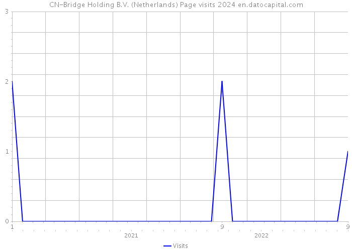 CN-Bridge Holding B.V. (Netherlands) Page visits 2024 