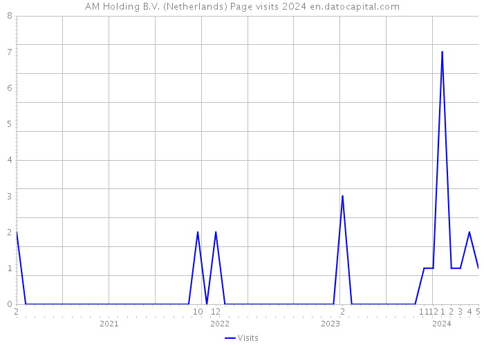 AM Holding B.V. (Netherlands) Page visits 2024 