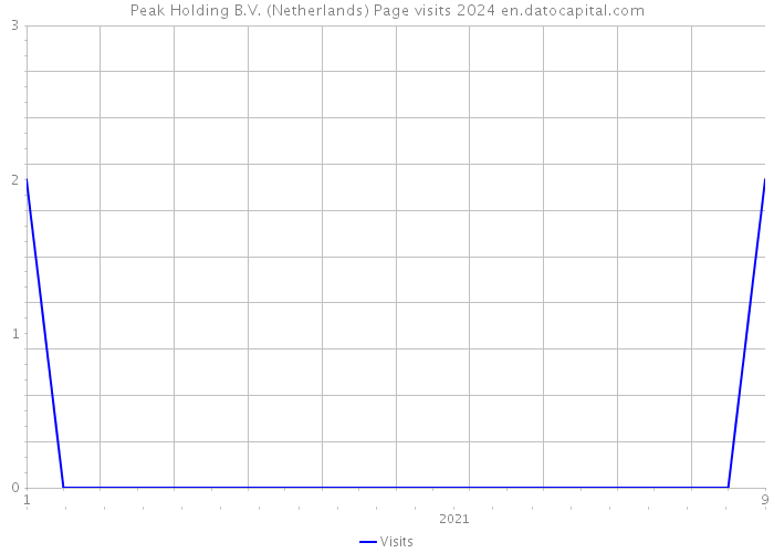 Peak Holding B.V. (Netherlands) Page visits 2024 