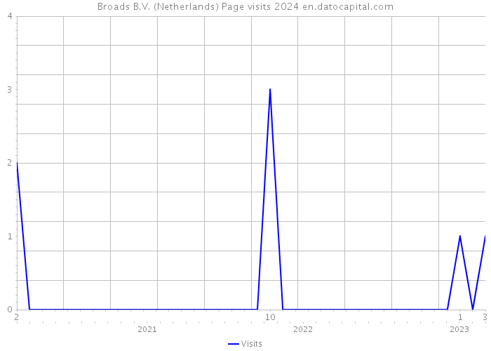 Broads B.V. (Netherlands) Page visits 2024 