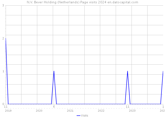 N.V. Bever Holding (Netherlands) Page visits 2024 