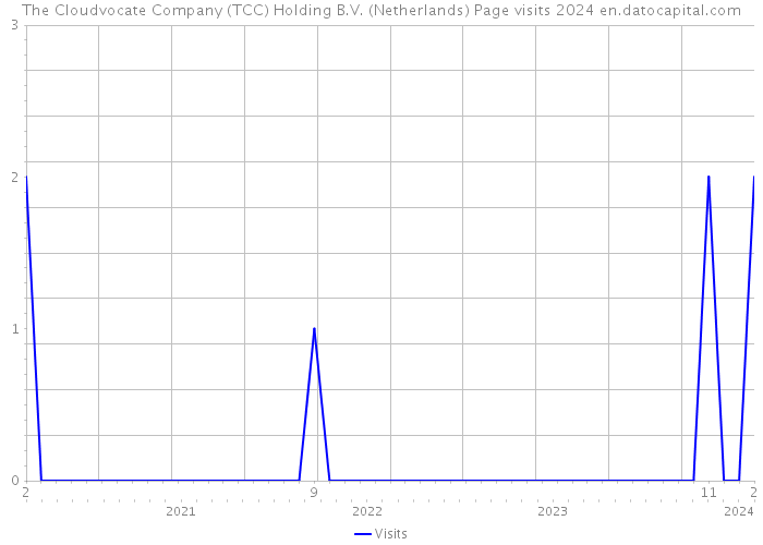 The Cloudvocate Company (TCC) Holding B.V. (Netherlands) Page visits 2024 