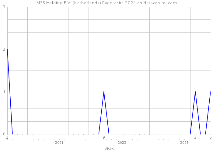 MSS Holding B.V. (Netherlands) Page visits 2024 