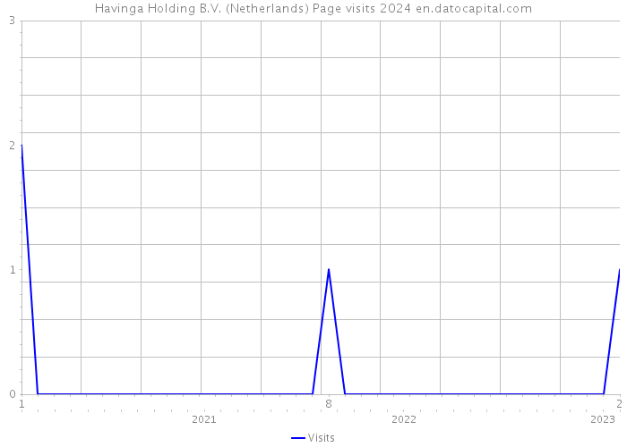 Havinga Holding B.V. (Netherlands) Page visits 2024 