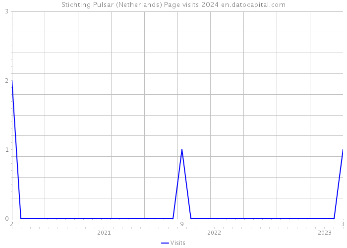 Stichting Pulsar (Netherlands) Page visits 2024 