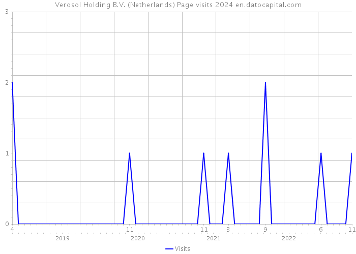 Verosol Holding B.V. (Netherlands) Page visits 2024 
