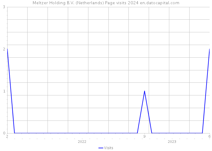 Meltzer Holding B.V. (Netherlands) Page visits 2024 