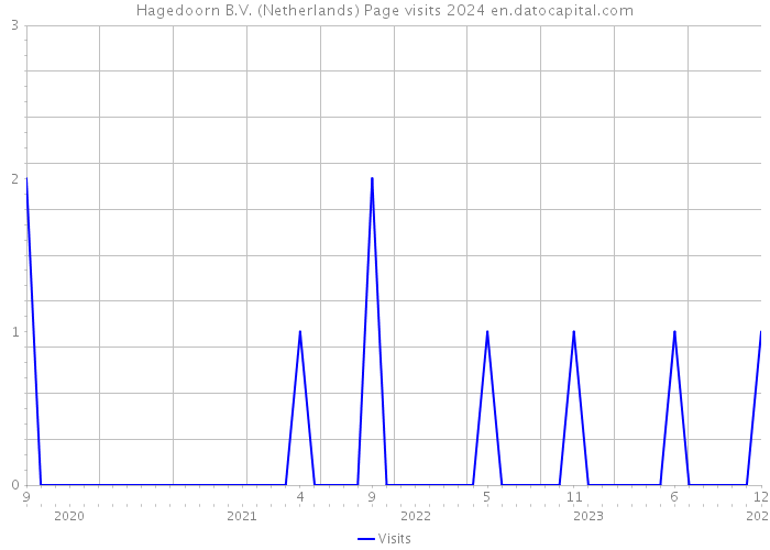 Hagedoorn B.V. (Netherlands) Page visits 2024 