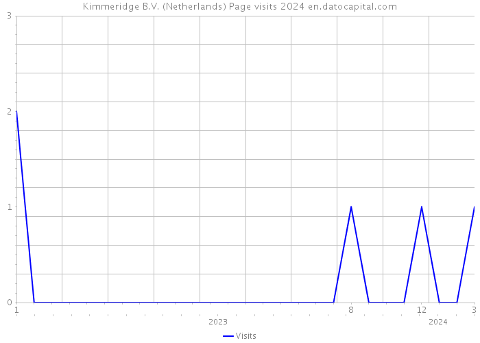 Kimmeridge B.V. (Netherlands) Page visits 2024 
