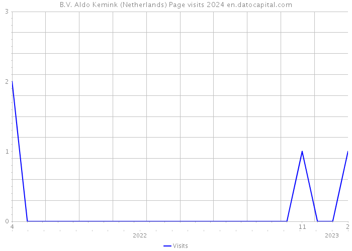 B.V. Aldo Kemink (Netherlands) Page visits 2024 
