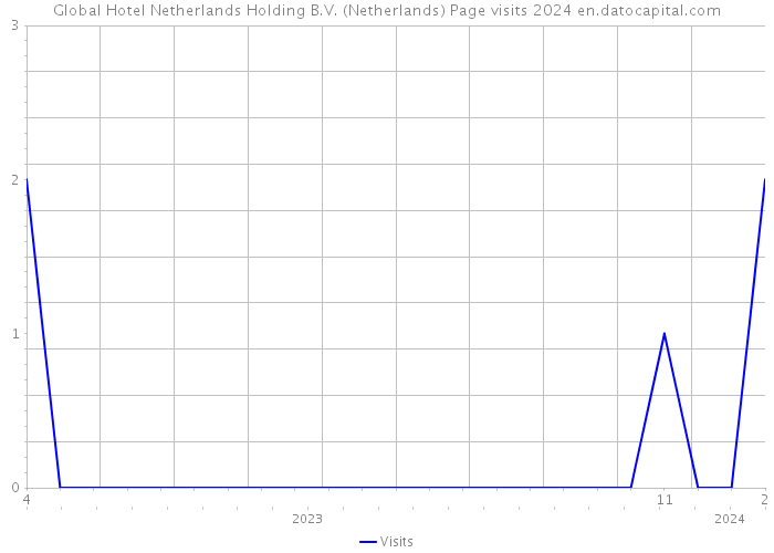 Global Hotel Netherlands Holding B.V. (Netherlands) Page visits 2024 