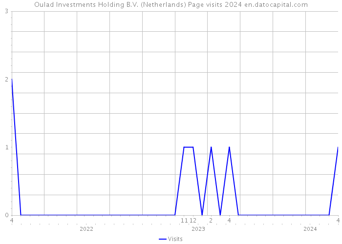 Oulad Investments Holding B.V. (Netherlands) Page visits 2024 
