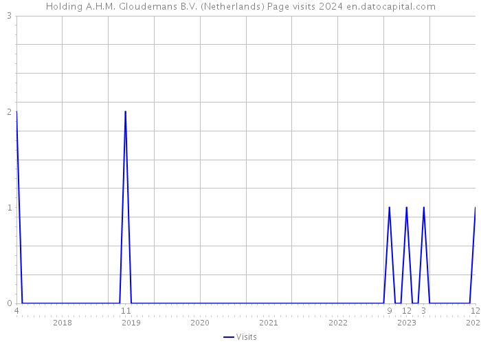 Holding A.H.M. Gloudemans B.V. (Netherlands) Page visits 2024 