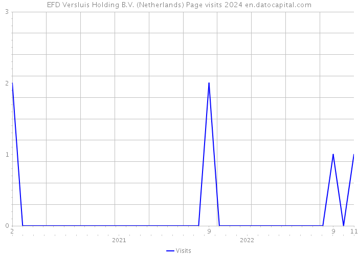 EFD Versluis Holding B.V. (Netherlands) Page visits 2024 